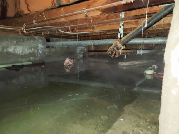 Best Commercial water damage restoration  in Occoquan, VA