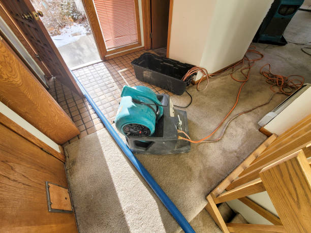 Best 24-hour water damage restoration  in Occoquan, VA