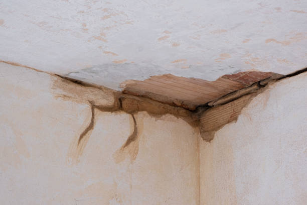 Best Water damage contractors near me  in Occoquan, VA